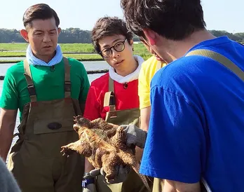 田村淳「(“池の水”史上)一番大変でした」凶暴なカミツキガメ捕獲に大苦戦！