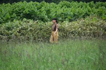 広瀬すず、20歳の誕生日に“朝ドラ”ヒロイン姿を初公開!