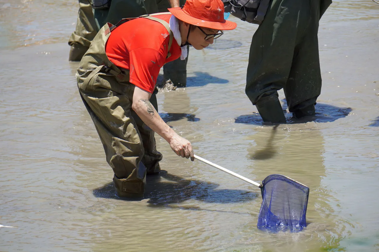 あまりにも多い熱帯魚軍団に驚く淳