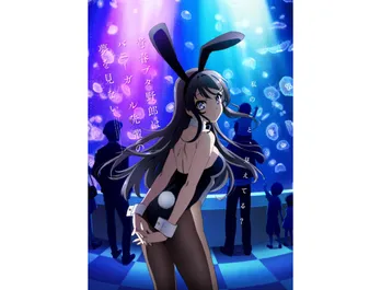 石川界人、瀬戸麻沙美ら出演のアニメ「青春ブタ野郎はバニーガール先輩の夢を見ない」キービジュアル&スタッフ情報到着!