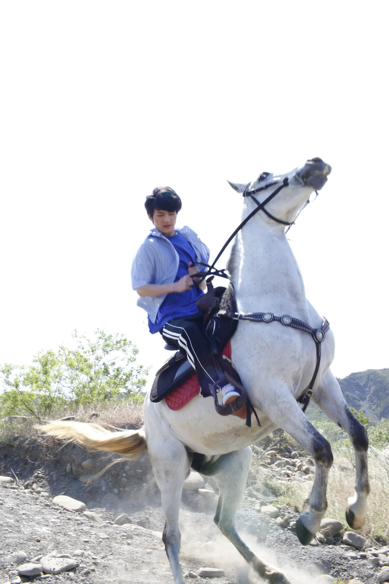大河ファンタジー「精霊の守り人」(NHK総合)で習得した乗馬も披露