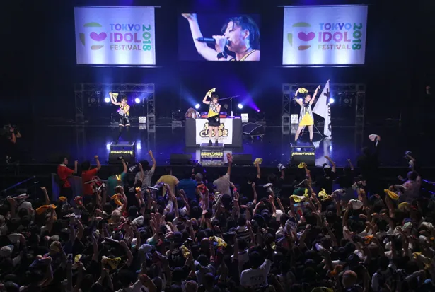 あゆみくりかまきが8月4日「TOKYO IDOL FESTIVAL 2018」HOT STAGEに出演