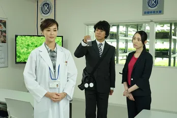 観月ありさが”完璧ではない女”に!「優しくていつでも完璧」な上川隆也と再共演