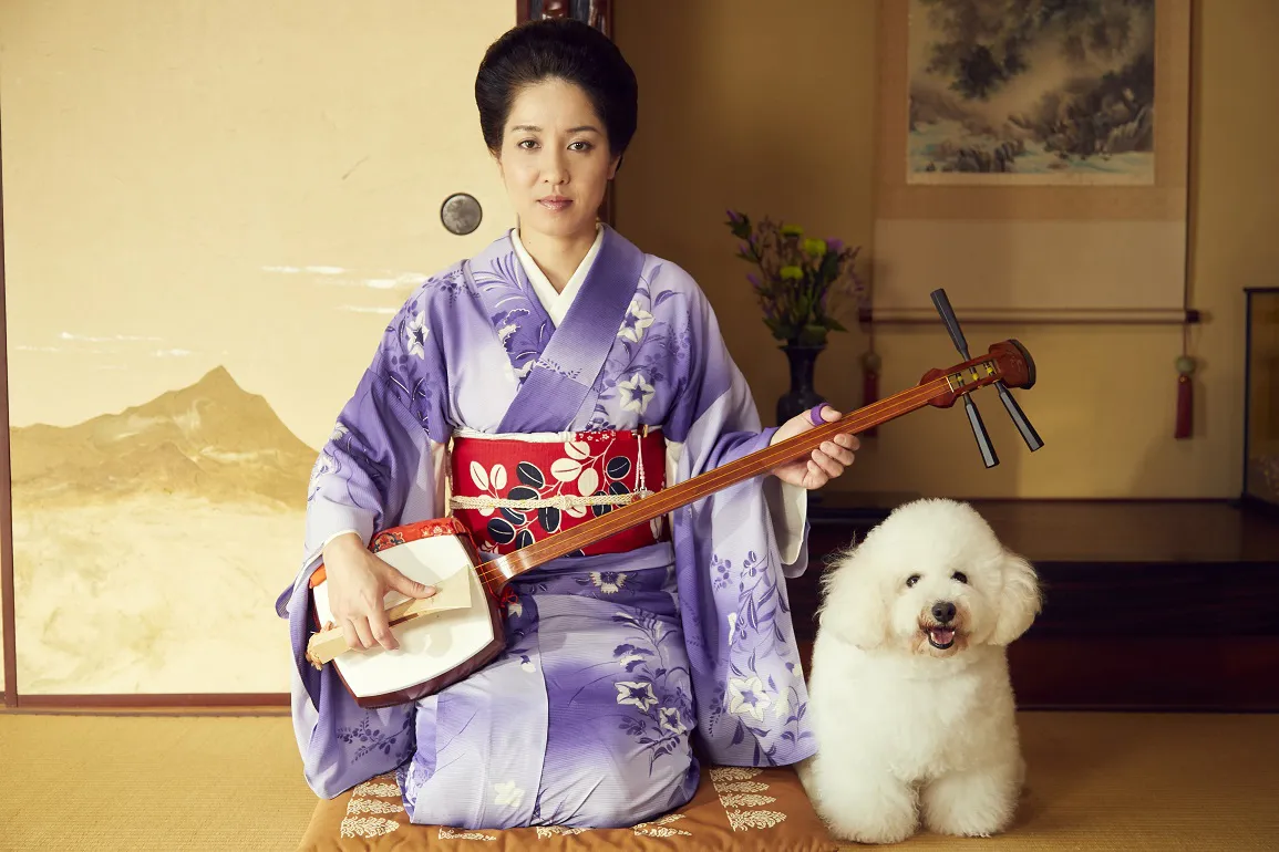 【写真を見る】「自分の芸者姿を見て、笑ってしまいました」と渚