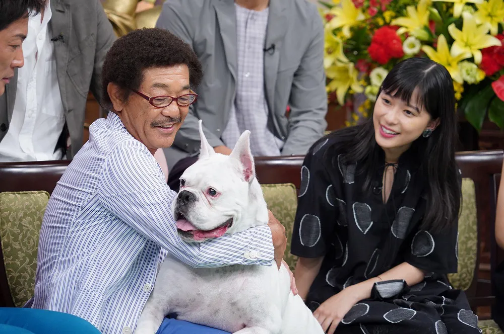9月9日(日)放送の「行列のできる法律相談所」で芳根京子が具志堅用高の愛犬・グスマンにドッキリを仕掛けられる!?
