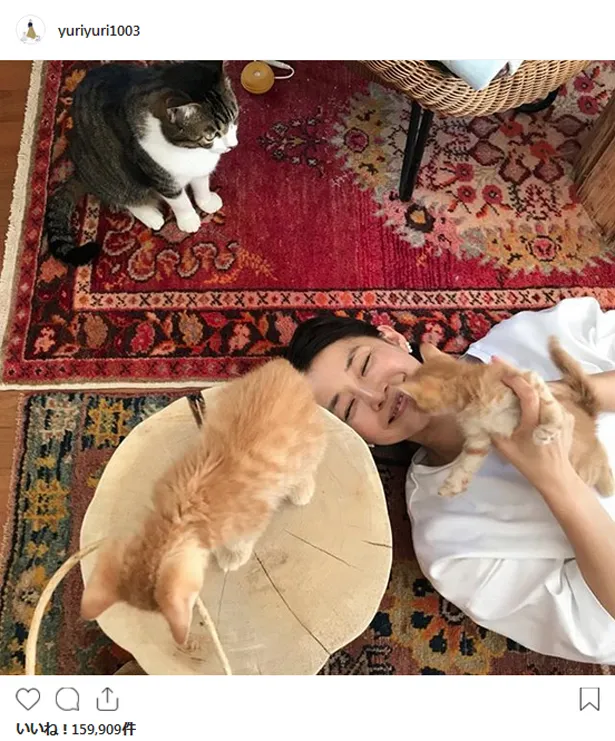 【写真を見る】猫と戯れる石田ゆり子