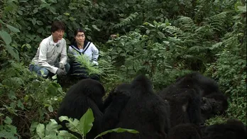 草刈正雄、“イッテQ”に再び参上!『ルワンダに来たンダ!!』