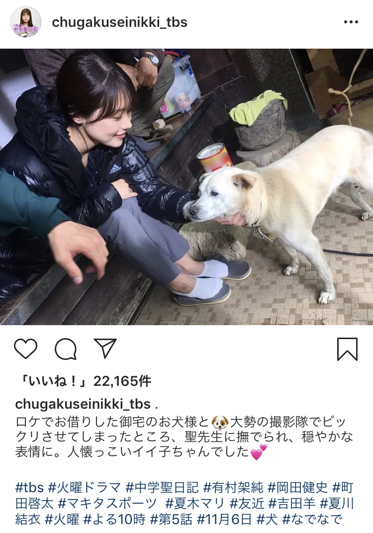 【写真を見る】ワンちゃんを撫でる有村架純＆“とろ～ん”とした表情をするワンちゃん！有村もワンちゃんもキュート♪