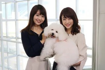 「僕坂」看板犬・ダイキチが特別PRに登場！ 新井恵理那＆福田成美もメロメロに