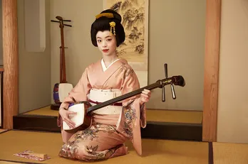 相葉雅紀もドキッ!?「僕とシッポと神楽坂」で趣里が芸者姿を初披露！