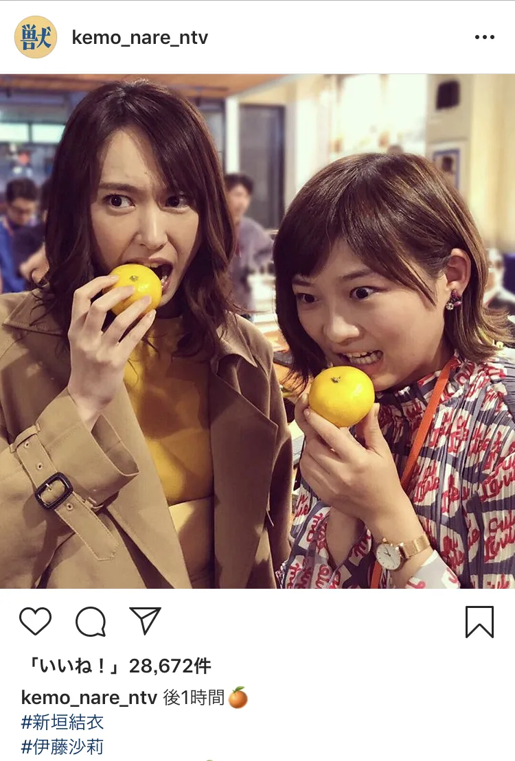 ※「獣になれない私たち」公式Instagram（kemo_nare_ntv）のスクリーンショット