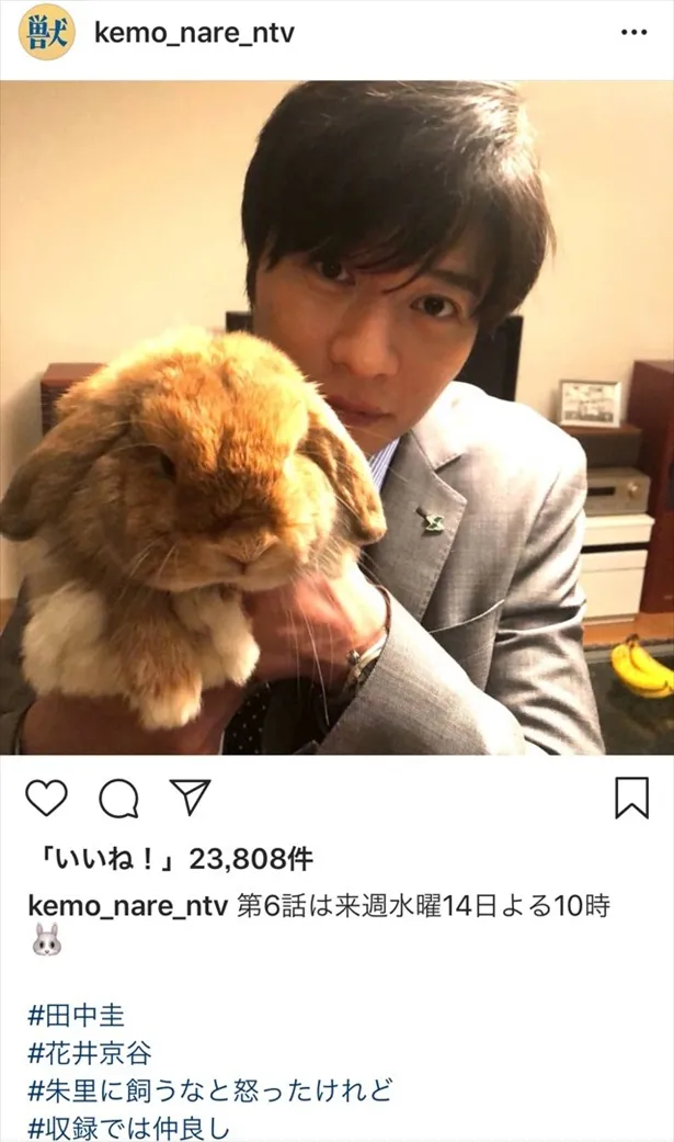  ※獣になれない私たちInstagram（kemo_nare_ntv）のスクリーンショット