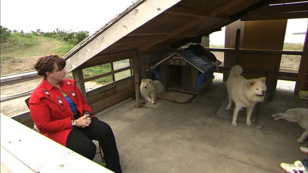 画像 ブサカワ犬 わさお 動物と話せる女性 と対面 最愛の飼い主の死から約1年 7 14 Webザテレビジョン