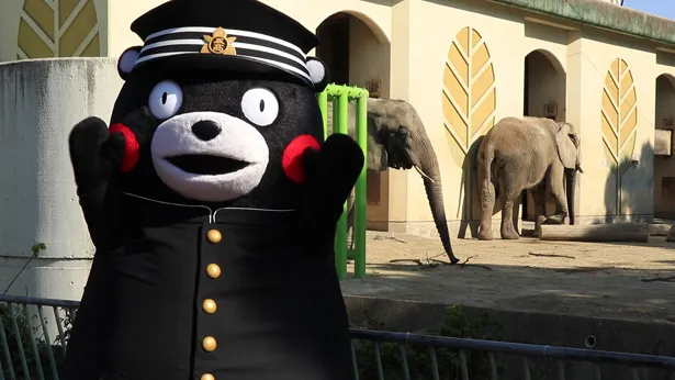 くまモンは熊本市動植物園も訪問