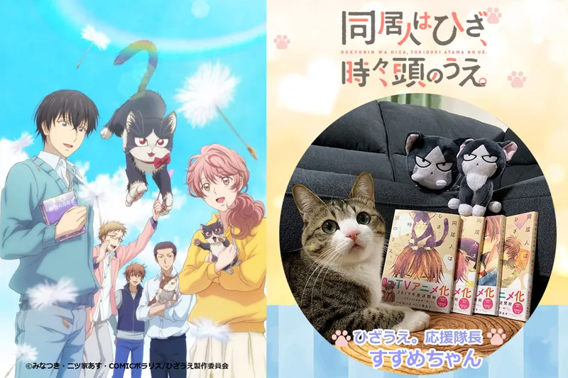 【写真を見る】アニメ「同居人はひざ、時々、頭のうえ。」の応援隊長は“日本一人気がある猫”のすずめちゃん