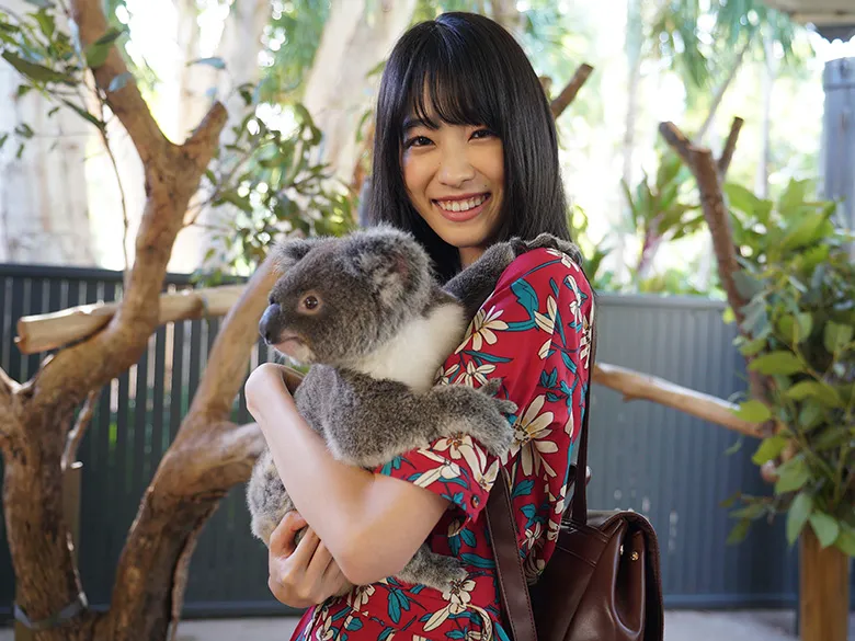 オーストラリアといえば“最高の癒しアニマル”のコアラ！