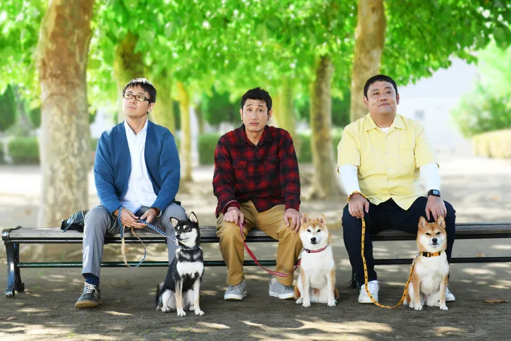 もふもふ柴犬さんたちの場面写真解禁 ドラマ 映画 柴公園 Webザテレビジョン