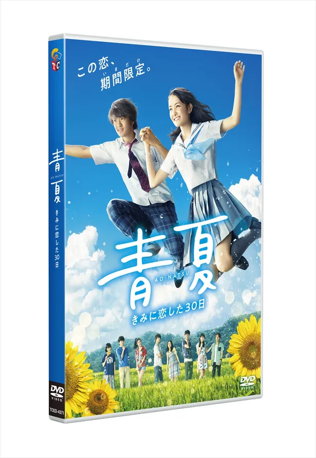 「青夏　きみに恋した30日」通常版DVD
