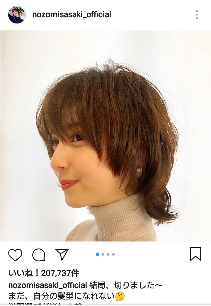 美しいヘアスタイル