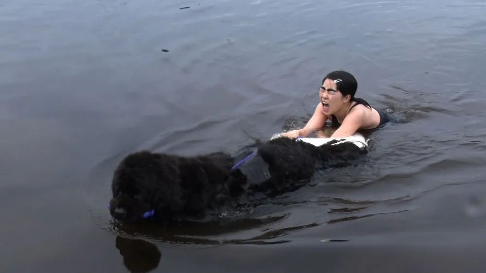 【写真を見る】80kg超えの大型犬と寒中水泳に挑むイモトアヤコ。スイスイと泳げるワンコがすごい！