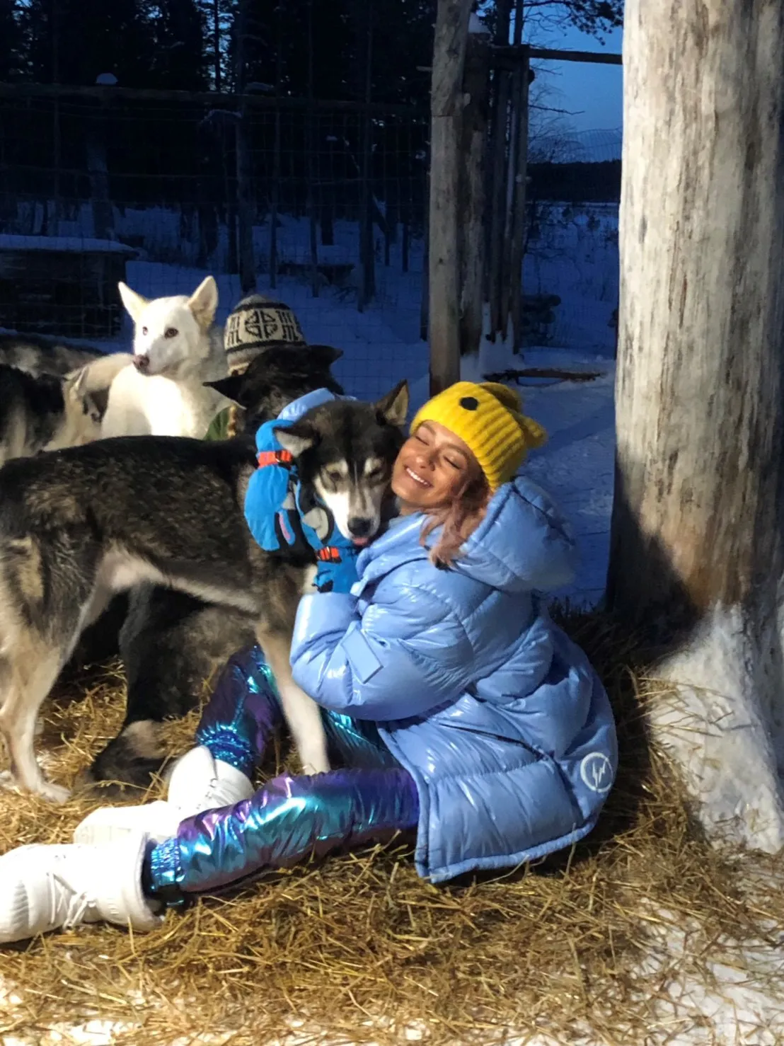 【写真を見る】モフモフ！大きな保護犬になつかれるローラ