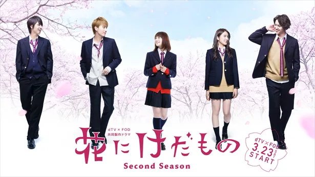 SNSで話題沸騰の配信ドラマ「花にけだもの」のSecond Season制作が決定！