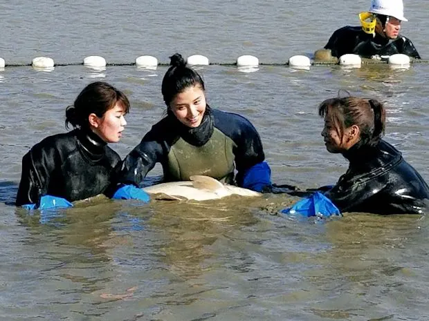 ヘドロだらけの貯水池で、稲村亜美、橋本マナミ、大家志津香(左から)ら女性陣も巨大魚を追う