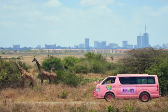 「あいのり」新シリーズの舞台はアフリカ！ ベッキーがスタジオMCを続投