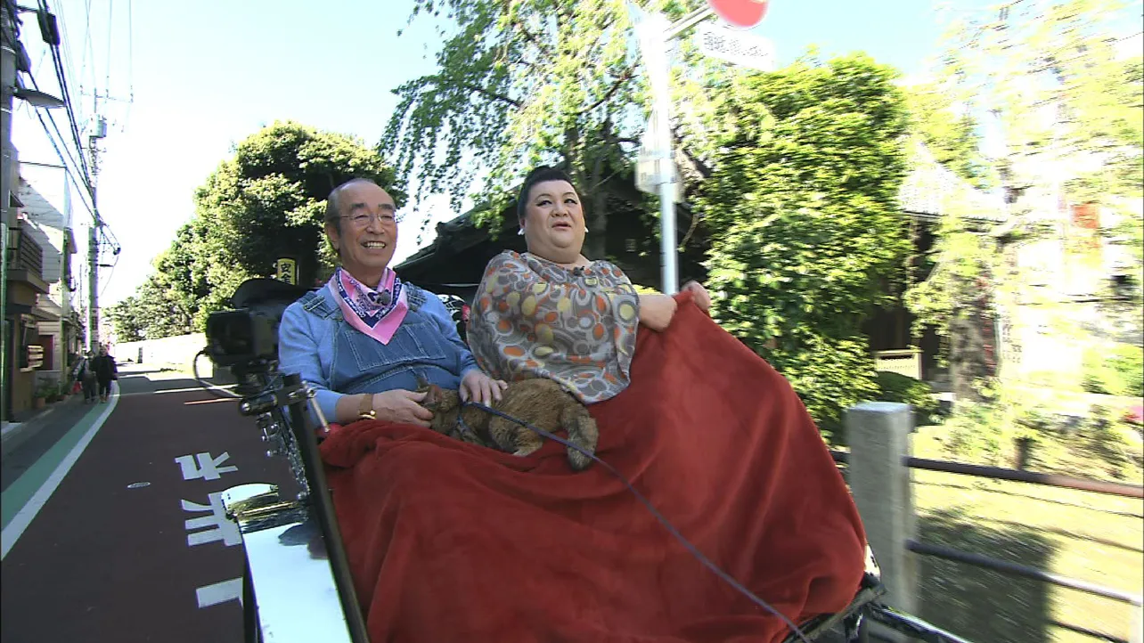 【写真を見る】人力車の乗ったマツコと志村。膝上にはニャンコも！