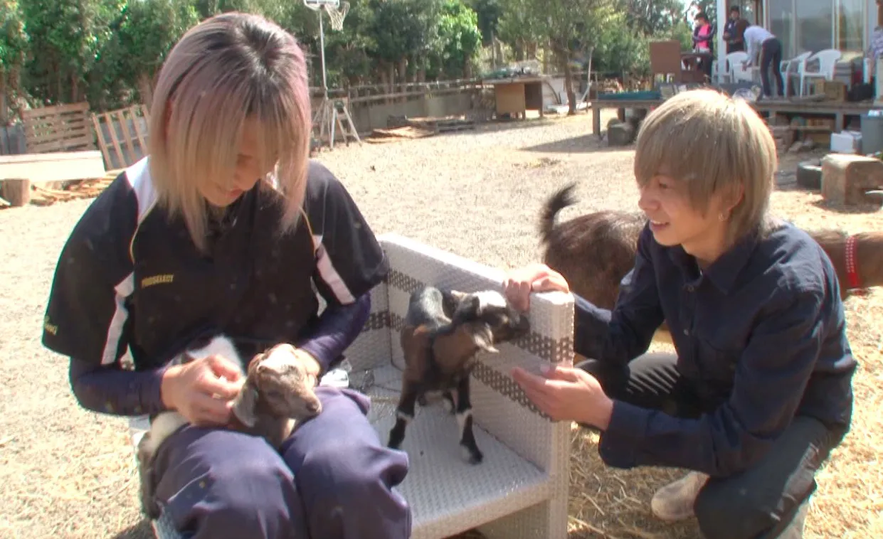 5月25日(土)放送の「天才！志村どうぶつ園」は白井家にまたまた密着！