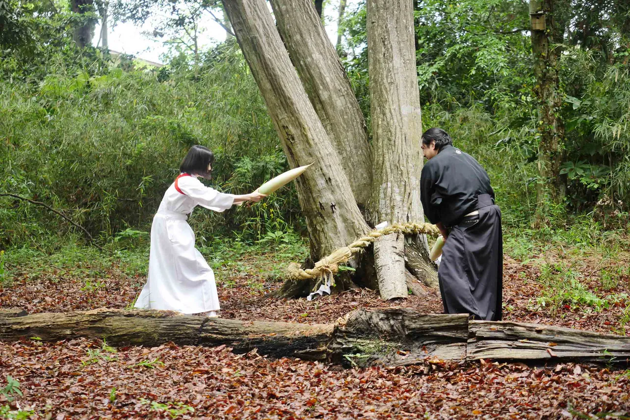 「大根侍」より