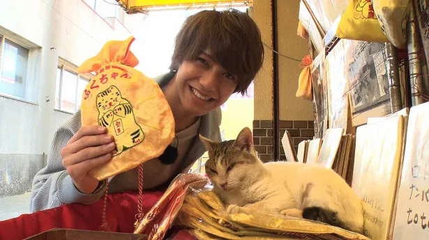 6月7日(金)放送の「坂上どうぶつ王国」で、高橋海人が謎の猫を探しに佐賀へ