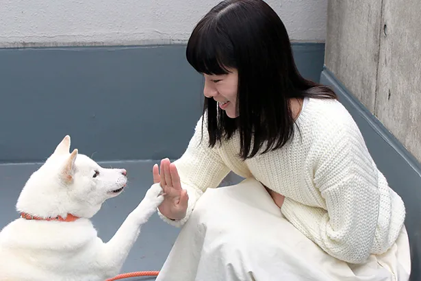 【写真を見る】真っ白な柴犬ポチとハイタッチ！