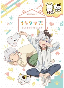 「タマ＆フレンズ」擬人化プロジェクト「うちタマ?!」ついにアニメ化！ 斉藤壮馬がタマ、小野賢章がポチ役、2020年1月ノイタミナ枠で放送！