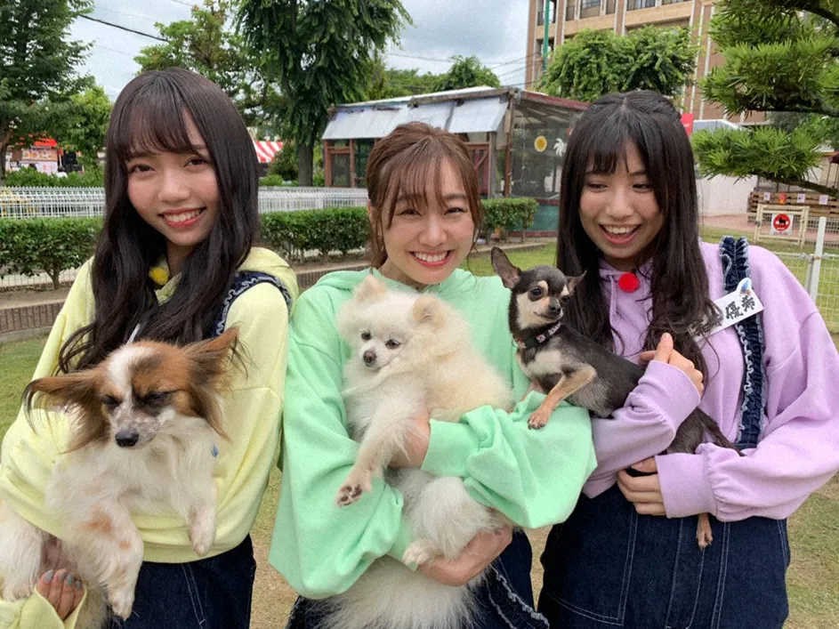 愛知・岡崎市の「わんわん動物園」でSKE48が天才犬たちとコラボ