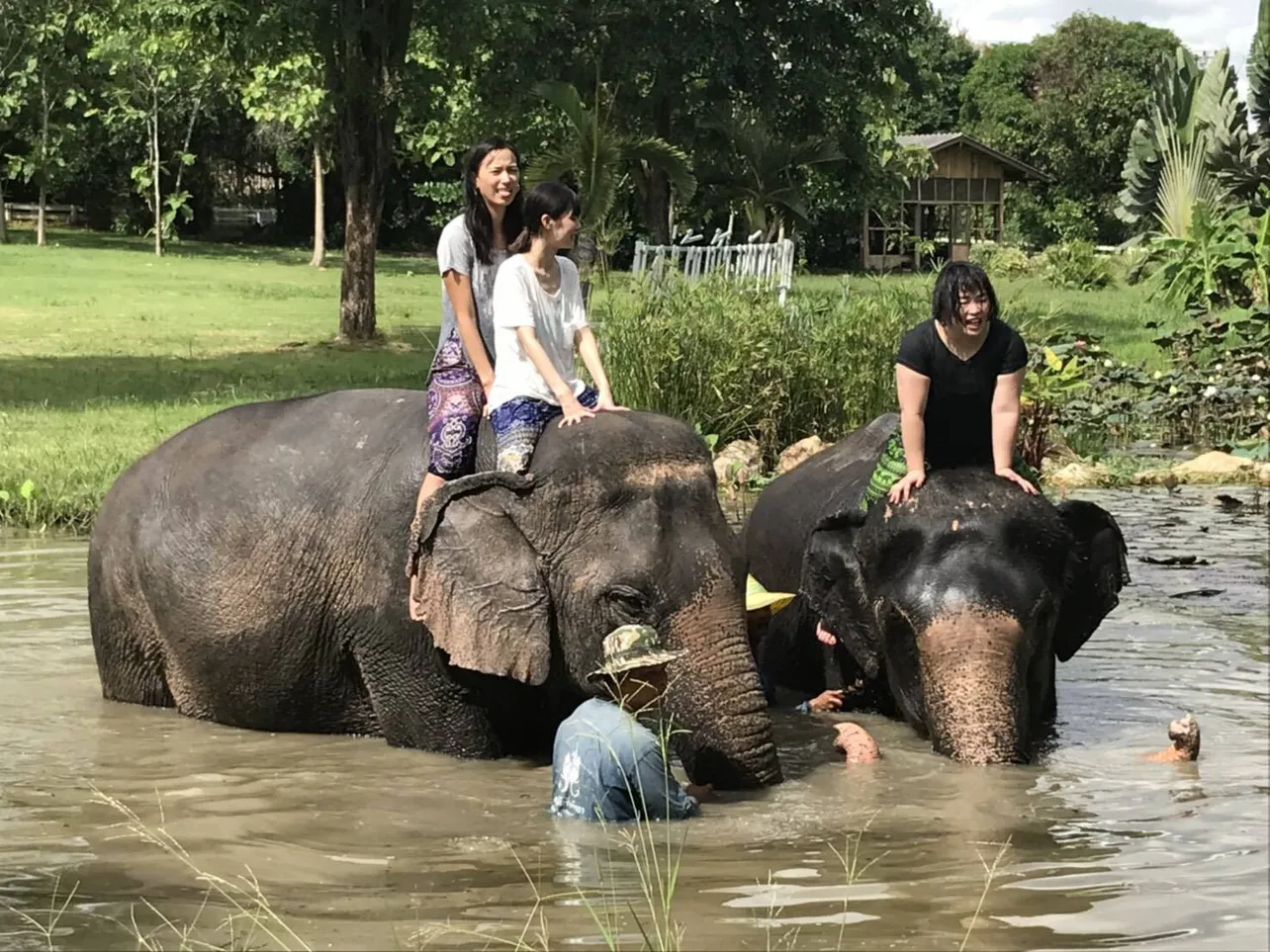 象に乗る体験ツアーでは、ゆりやんに思いがけないハプニングが！