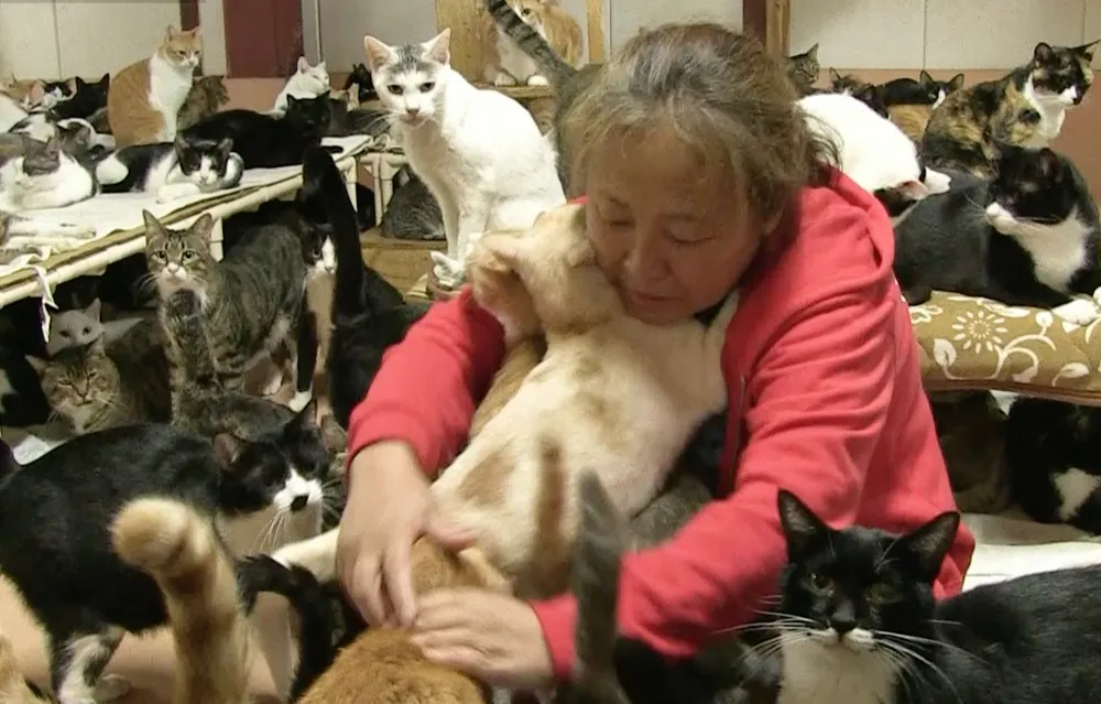 「多頭飼育崩壊」の問題に取り組んでいる動物保護団体「犬猫みなしご救援隊」中谷百里代表