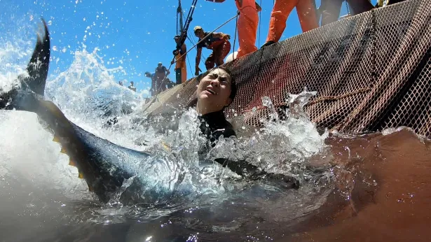 【写真を見る】大暴れするマグロと死闘を繰り広げるイモトアヤコ