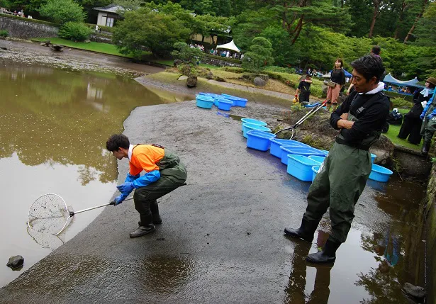 7月14日(日)の「緊急SOS！池の水ぜんぶ抜く大作戦」より