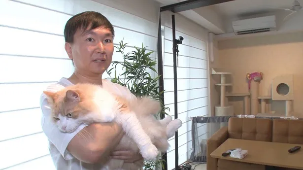 かまいたち・山内健司は5匹の猫と暮らす大の猫好き！