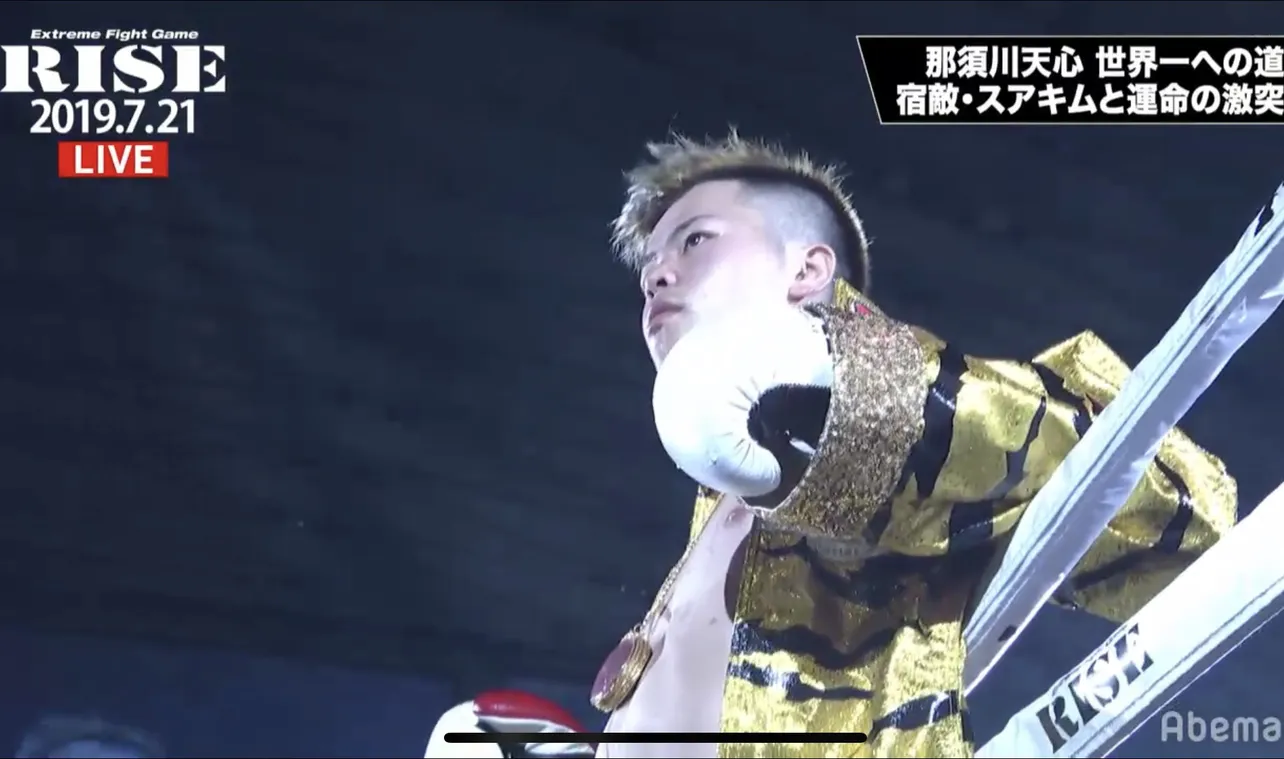 【写真を見る】大阪仕様の“トラ柄”コスチュームで登場した那須川天心選手