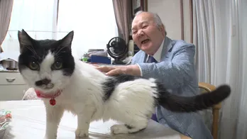 “ひふみん”考案！「ネコと仲良くするための心得」が明らかに