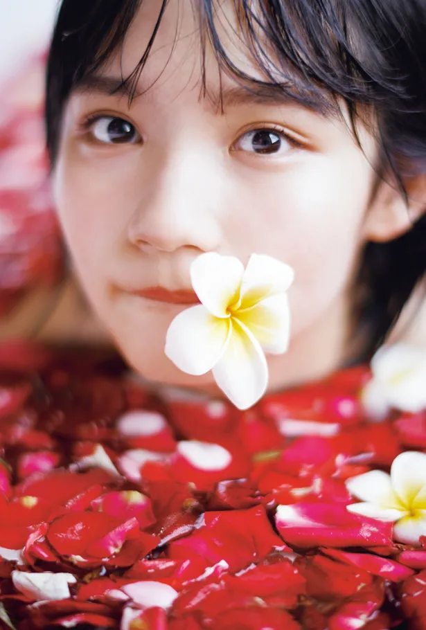 セブンネットショッピング限定特典として、「自分図鑑」表紙カットの絵柄を使用したポストカードを封入