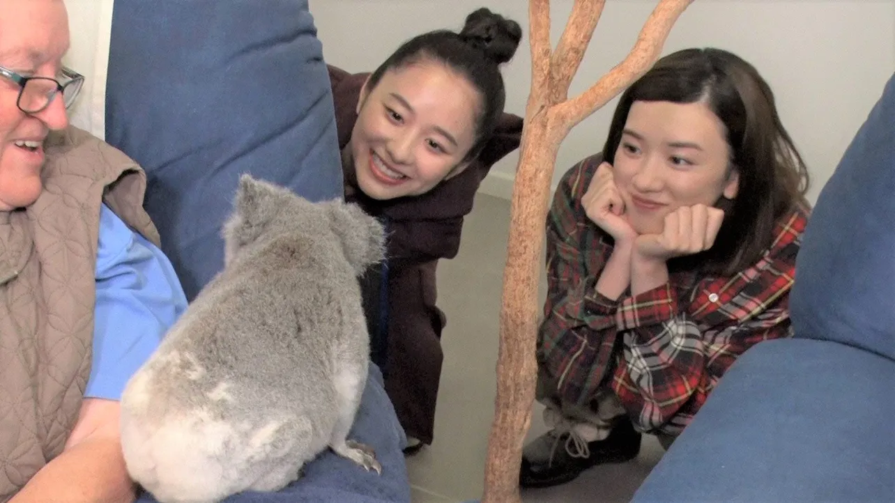 永野芽郁と堀田真由がオーストラリアのレッドランドで、保護コアラと触れ合う