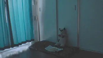 28年間可愛がってきた、ぬいぐるみが動き出した理由とは…完結編!!