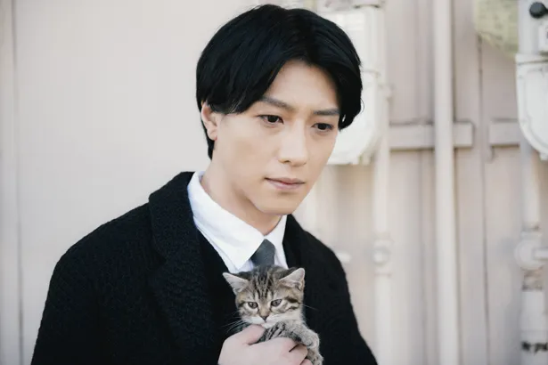 【写真を見る】鈴木拡樹が憂いの表情で子ネコを抱っこ