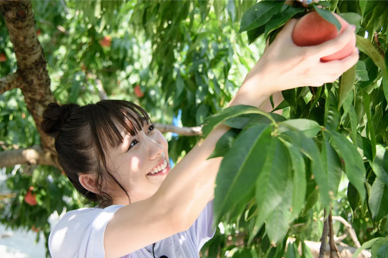 【写真を見る】桃の収穫を体験する須田亜香里