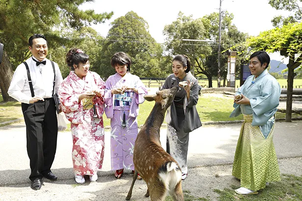 奈良公園でシカを前に歌いまくる水谷千重子ら