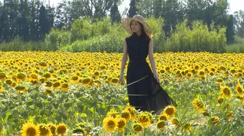 北川景子のヨーロッパ旅に密着!オランダ、フランスでゴッホの謎を知る