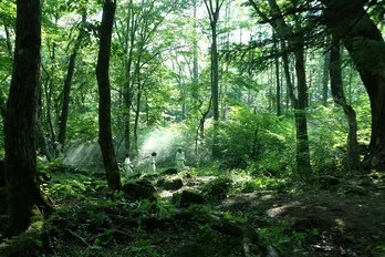 浜辺美波、作品が好きだからこそ「難しさに頭を抱えたことも」